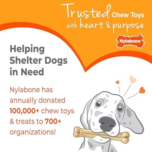 Nylabone Puppy Chew Teething Bone Dog Toy, Chicken Flavor, Medium 10.8cm (4.25in) | Soothes Gums & Teaches Chewing thumbnail 8