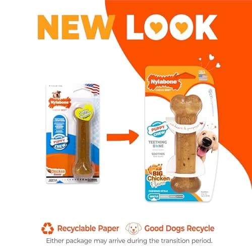 Nylabone Puppy Chew Teething Bone Dog Toy, Chicken Flavor, Medium 10.8cm (4.25in) | Soothes Gums & Teaches Chewing thumbnail 3