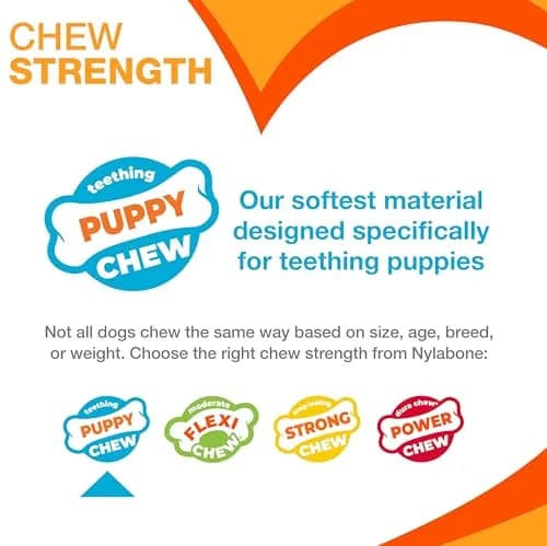 Nylabone Puppy Chew Teething Knuckle Bone Dog Chew Toy, Chicken Flavor, X-Large (0.35 lb) thumbnail 4