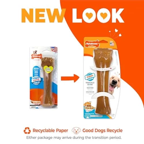 Nylabone Puppy Chew Teething Knuckle Bone Dog Chew Toy, Chicken Flavor, X-Large (0.35 lb) thumbnail 3