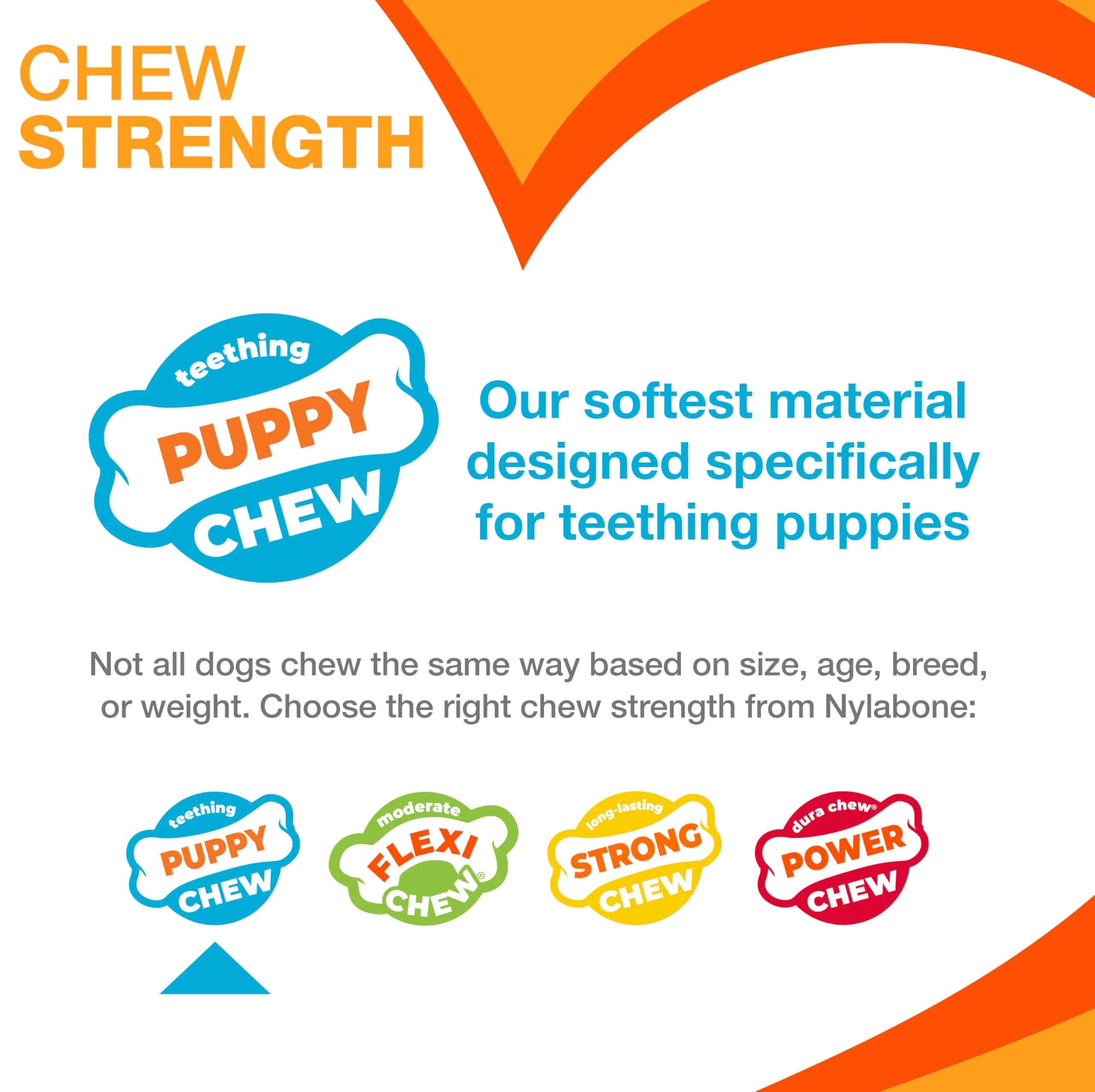 Nylabone Puppy Chew Teething Knuckle Bone Dog Chew Toy, Chicken Flavor, X-Large (0.35 lb) - view 4