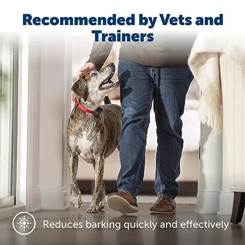 PetSafe Basic Bark Control Collar Adjustable | Safe, Waterproof, 6 Correction Levels (70-120 chars) thumbnail 2