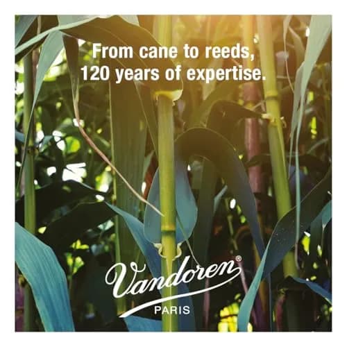 Vandoren ZZ Alto Sax Reeds Strength 3.5; Box of 10 | Jazz Tone & Response thumbnail 5