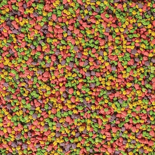 Kaytee Exact Rainbow Cockatiel Food 1.36 kg (3 lb) | Veterinarian Recommended Nutrition for Vibrant Plumage thumbnail 2