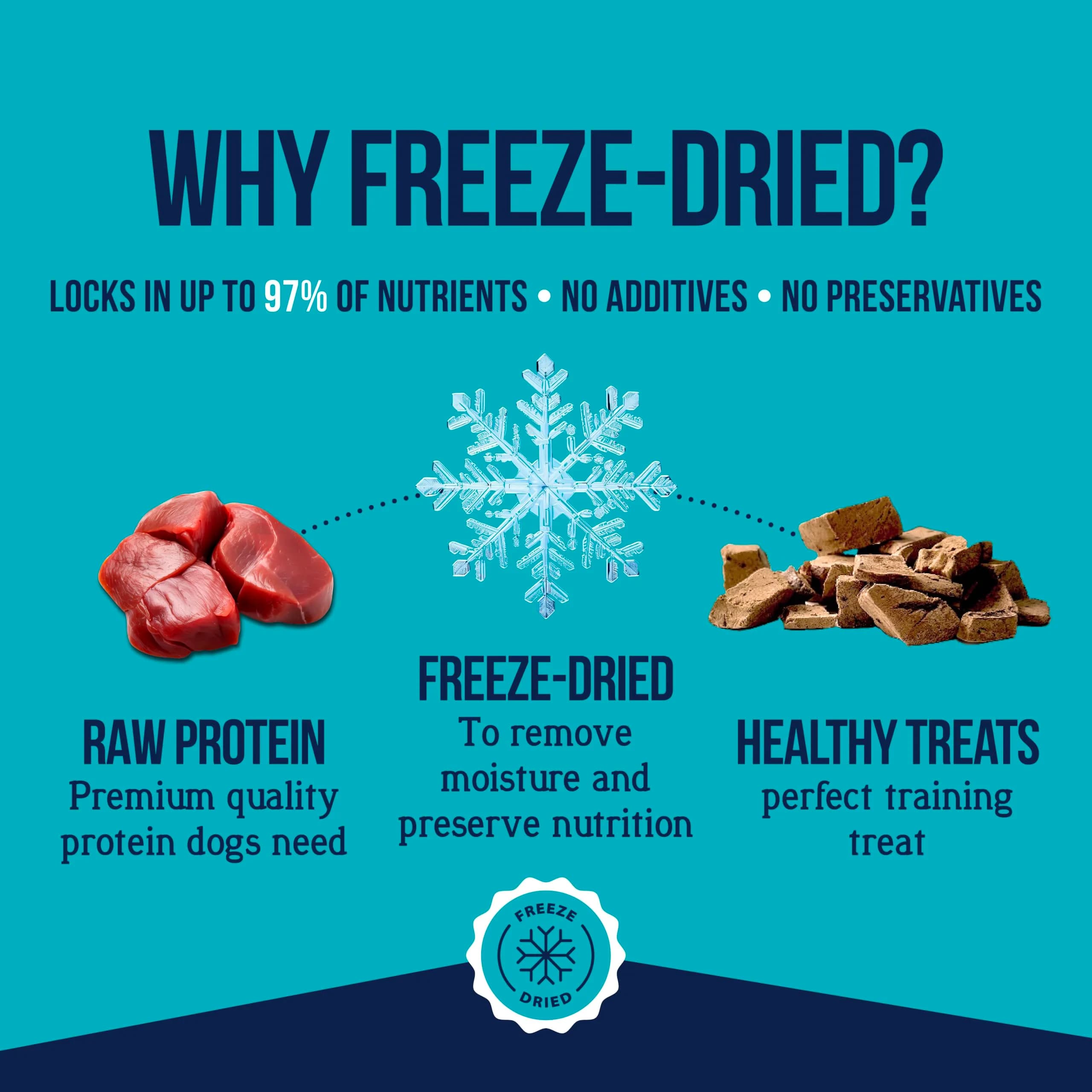Stewart Freeze Dried Beef Liver Dog Treats 21 oz (595 g) | 100% Pure Protein for Training & Meal Topping - view 3