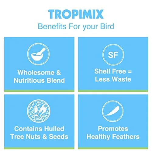 Hari Tropimix Bird Food, Large Parrot Food with Seeds, Fruit, 9.07kg (20 lb) | Supports Feather Growth & Vivid Colors thumbnail 5