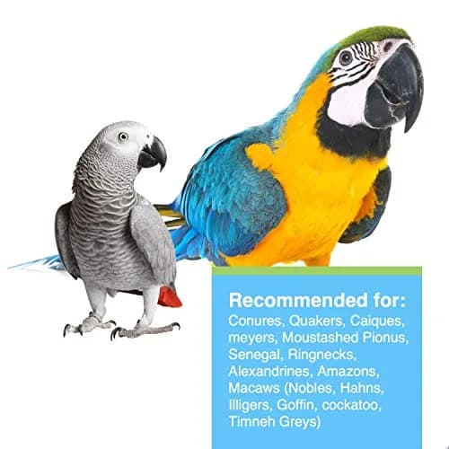 Hari Tropimix Bird Food, Large Parrot Food with Seeds, Fruit, 9.07kg (20 lb) | Supports Feather Growth & Vivid Colors thumbnail 3
