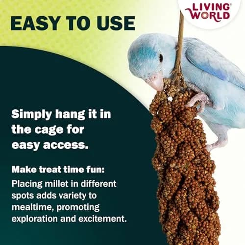 Living World Millet Spray for Birds 99g (3.5 Oz) | Natural, Additive-Free Treat for Parakeets, Finches, Canaries thumbnail 5