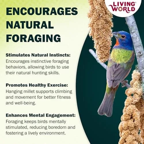 Living World Millet Spray for Birds 99g (3.5 Oz) | Natural, Additive-Free Treat for Parakeets, Finches, Canaries thumbnail 6