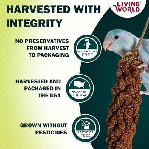 Living World Millet Spray for Birds 198g (7 Oz) | Naturally Delicious & Additive-Free Bird Treat thumbnail 3