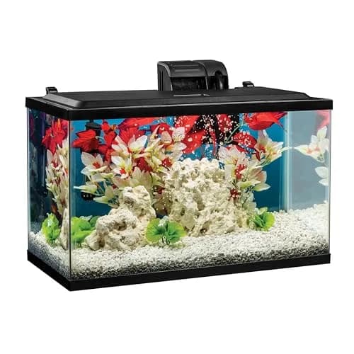 Tetra Aquarium Bio-Bag Medium Filter Cartridges 12 Count | Keeps Aquarium Water Clear & Odor-Free thumbnail 7