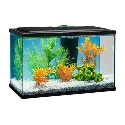 Tetra Aquarium Bio-Bag Medium Filter Cartridges 12 Count | Keeps Aquarium Water Clear & Odor-Free thumbnail 8