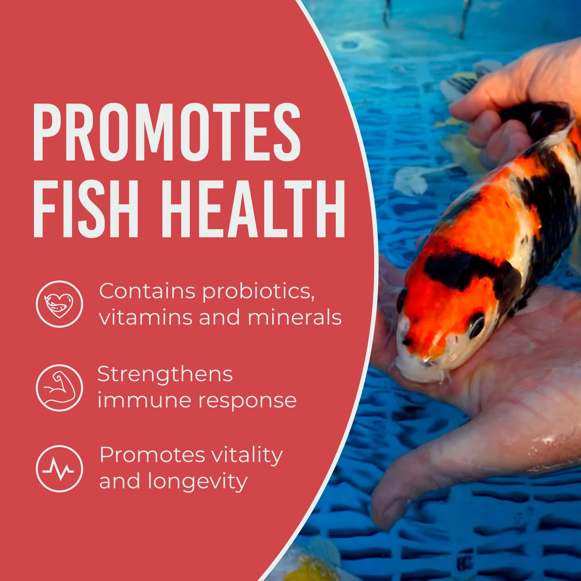 Blue Ridge Koi Fish Food Growth Formula Mini 12.56 kg (25 lb) | 36% Protein for Active Growth - view 6
