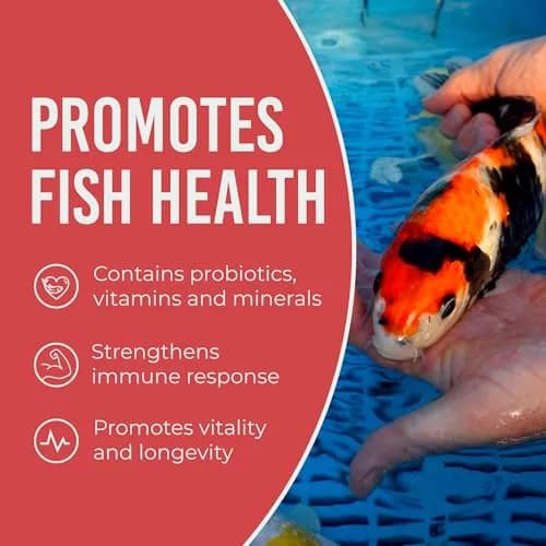 Blue Ridge Koi Fish Food Growth Formula Mini 12.56 kg (25 lb) | 36% Protein for Active Growth thumbnail 6