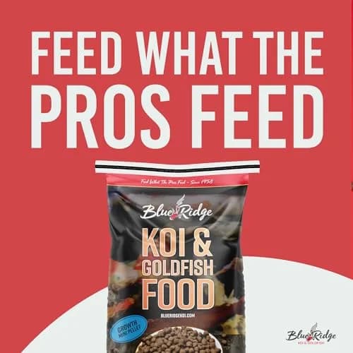 Blue Ridge Koi Fish Food Growth Formula Mini 12.56 kg (25 lb) | 36% Protein for Active Growth thumbnail 3
