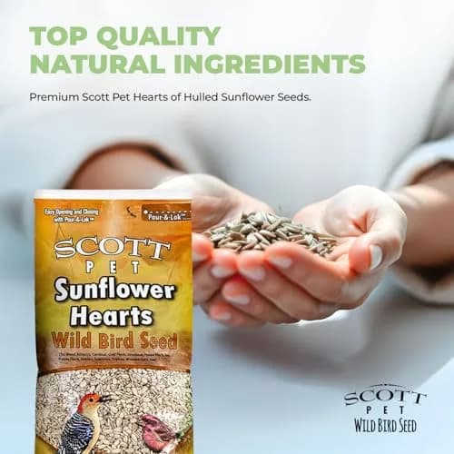 Scott Pet Wild Bird Seed Sunflower Hearts No Shells 8lb | High Protein for Backyard Birds thumbnail 4