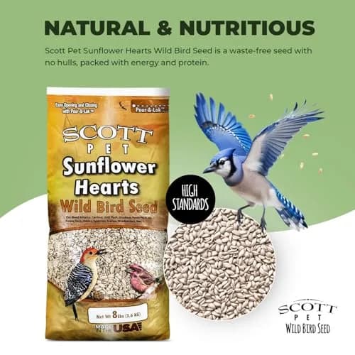 Scott Pet Wild Bird Seed Sunflower Hearts No Shells 8lb | High Protein for Backyard Birds thumbnail 2
