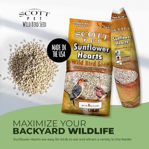 Scott Pet Wild Bird Seed Sunflower Hearts No Shells 8lb | High Protein for Backyard Birds thumbnail 3