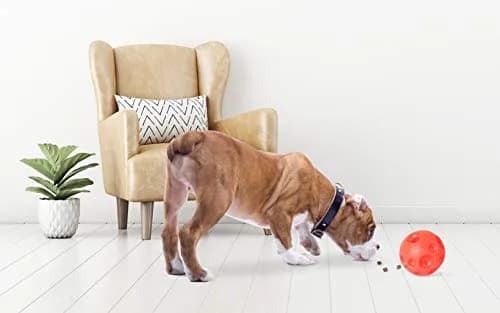 Omega Paw Tricky Treat Ball Large Orange | Interactive Treat Dispensing Dog Toy thumbnail 2