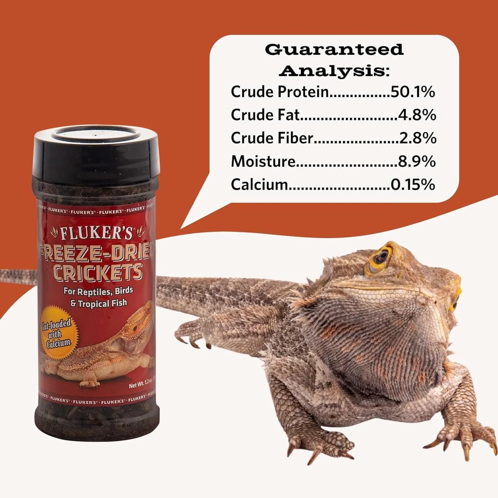Fluker's Freeze Dried Mealworms 1.2 oz (Pack of 1) | Protein-Rich Treat for Reptiles, Birds, Fish - main product image