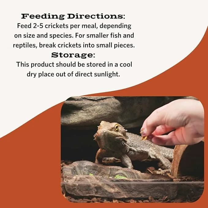 Fluker's Freeze Dried Mealworms 1.2 oz (Pack of 1) | Protein-Rich Treat for Reptiles, Birds, Fish - view 2