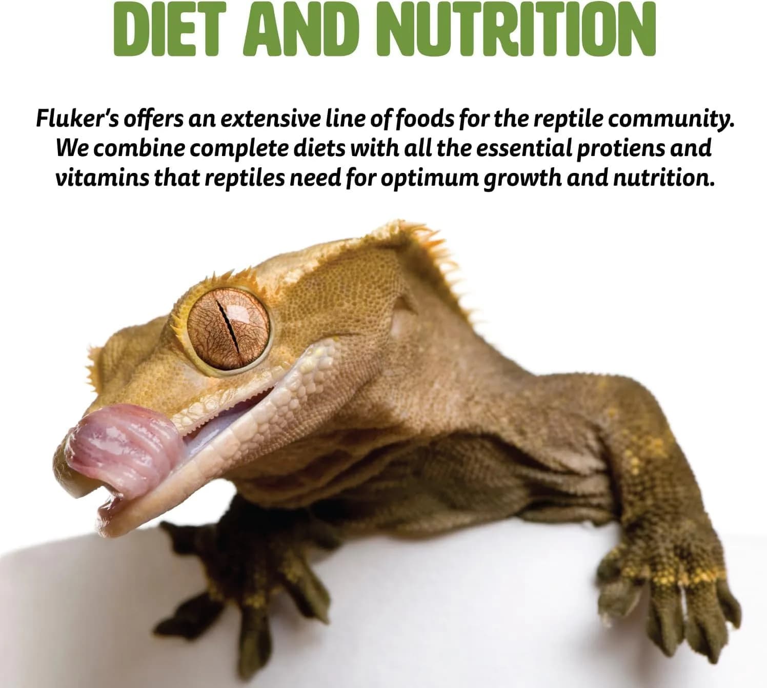 Fluker's Freeze Dried Mealworms 1.2 oz (Pack of 1) | Protein-Rich Treat for Reptiles, Birds, Fish - view 3