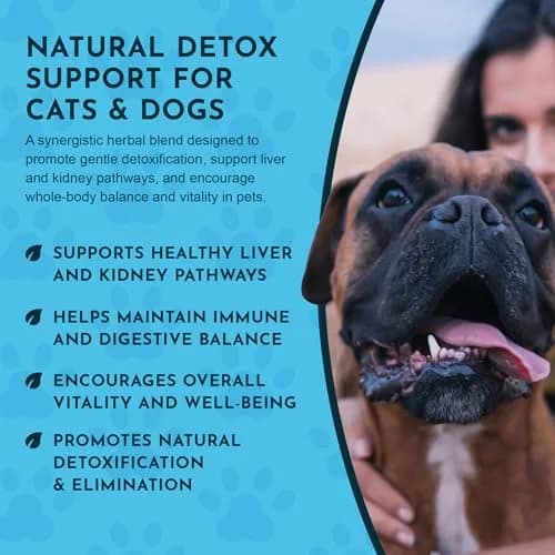Animal Essentials Detox Blend - Liver Support for Dogs & Cats | Organic Herbal Formula, 1 Fl Oz thumbnail 6