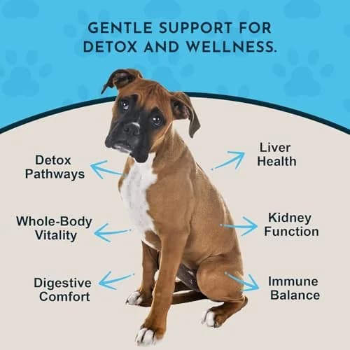 Animal Essentials Detox Blend - Liver Support for Dogs & Cats | Organic Herbal Formula, 1 Fl Oz thumbnail 3