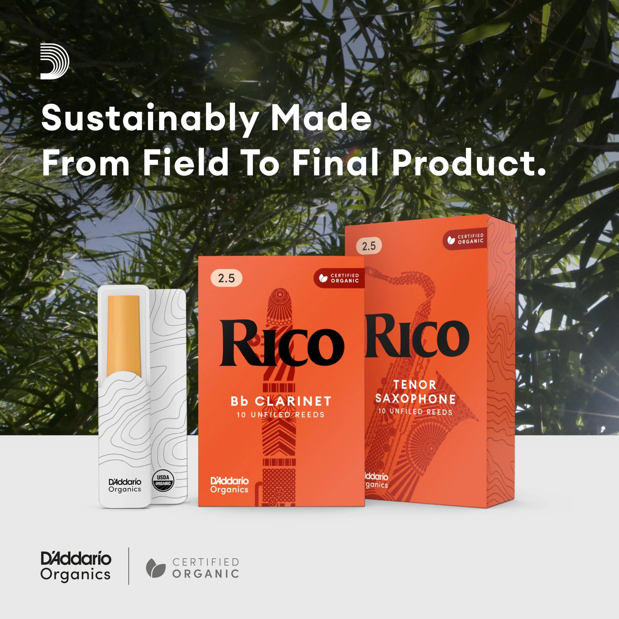 Rico Organic Alto Saxophone Reeds Strength 3.5 (10 Pack) | Easy Response for Students - view 5