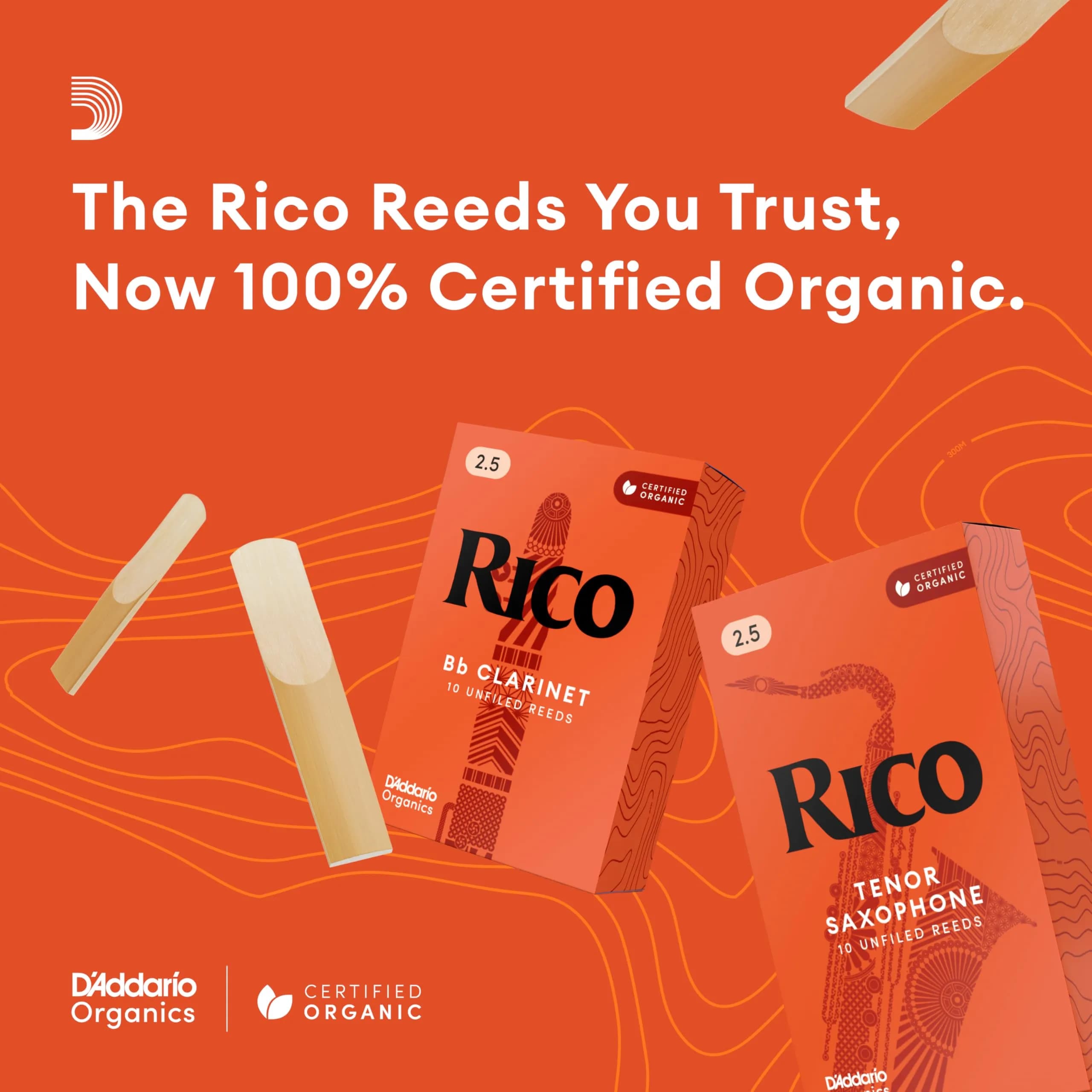Rico Organic Alto Saxophone Reeds Strength 3.5 (10 Pack) | Easy Response for Students - view 2