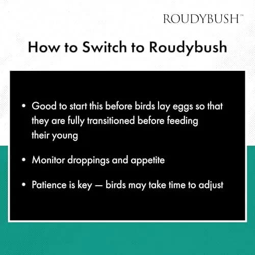 RoudyBush Daily Maintenance Bird Food Small Pellets 1.25 kg (44 oz) | Scientifically Formulated Nutrition thumbnail 7