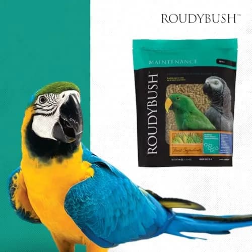 RoudyBush Daily Maintenance Bird Food Small Pellets 1.25 kg (44 oz) | Scientifically Formulated Nutrition thumbnail 8