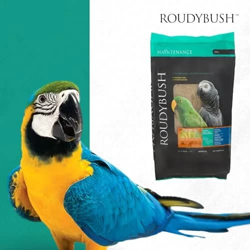 RoudyBush Daily Maintenance Bird Food Small Pellets 12.11 kg (25 lb) | Scientifically Formulated for Birds thumbnail 8