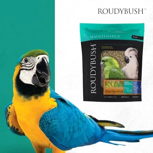 RoudyBush Daily Maintenance Bird Food Medium Pellets 1.27 kg (2.8 lb) | Scientifically Formulated for All Life Stages thumbnail 8
