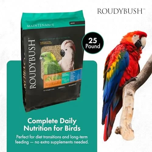 RoudyBush Daily Maintenance Bird Food Medium Pellets 12 kg (25 lb) | Wholesome Nutrition for Parrots, Cockatiels, Conures thumbnail 2
