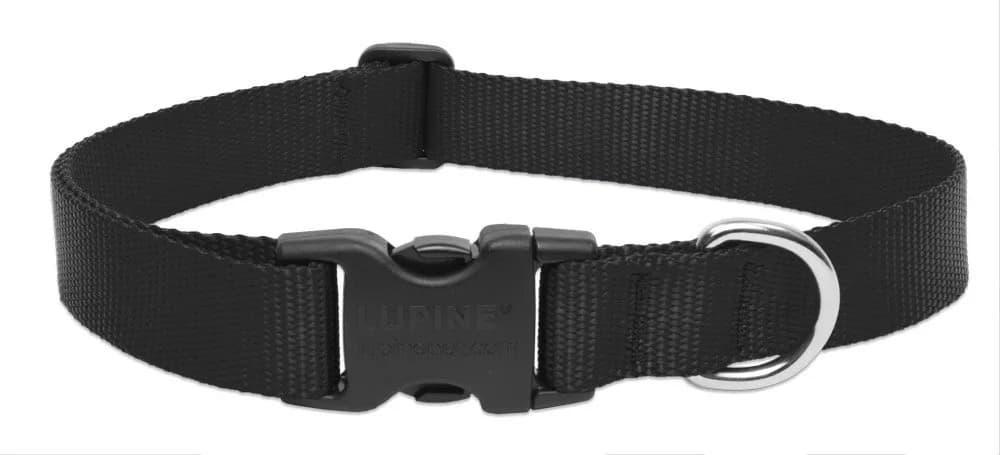 LupinePet Basics Black Adjustable Collar for Extra Large Dogs 63.5cm (25") | Guaranteed Even If Chewed - main product image