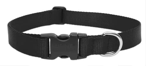 LupinePet Basics Black Adjustable Collar for Extra Large Dogs 63.5cm (25") | Guaranteed Even If Chewed thumbnail 1