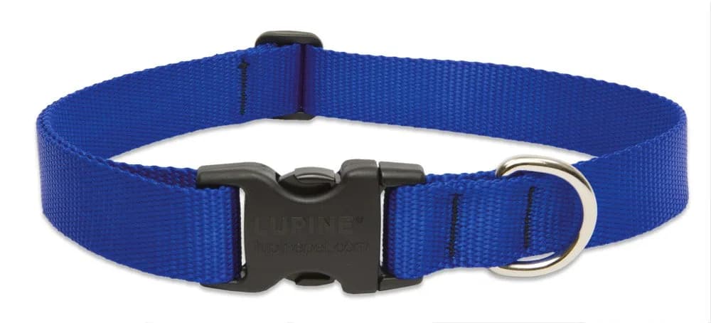 LupinePet Basics Purple Adjustable Dog Collar 2.54cm (1")W; 63.5-78.74cm (25-31") Neck | Guaranteed Even If Chewed — Blue