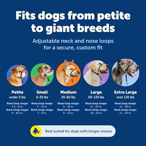 PetSafe Gentle Leader No Pull Dog Headcollar, Red, Small (0.09 kg) | Veterinary Behaviorist-Designed for Pulling Dogs thumbnail 5
