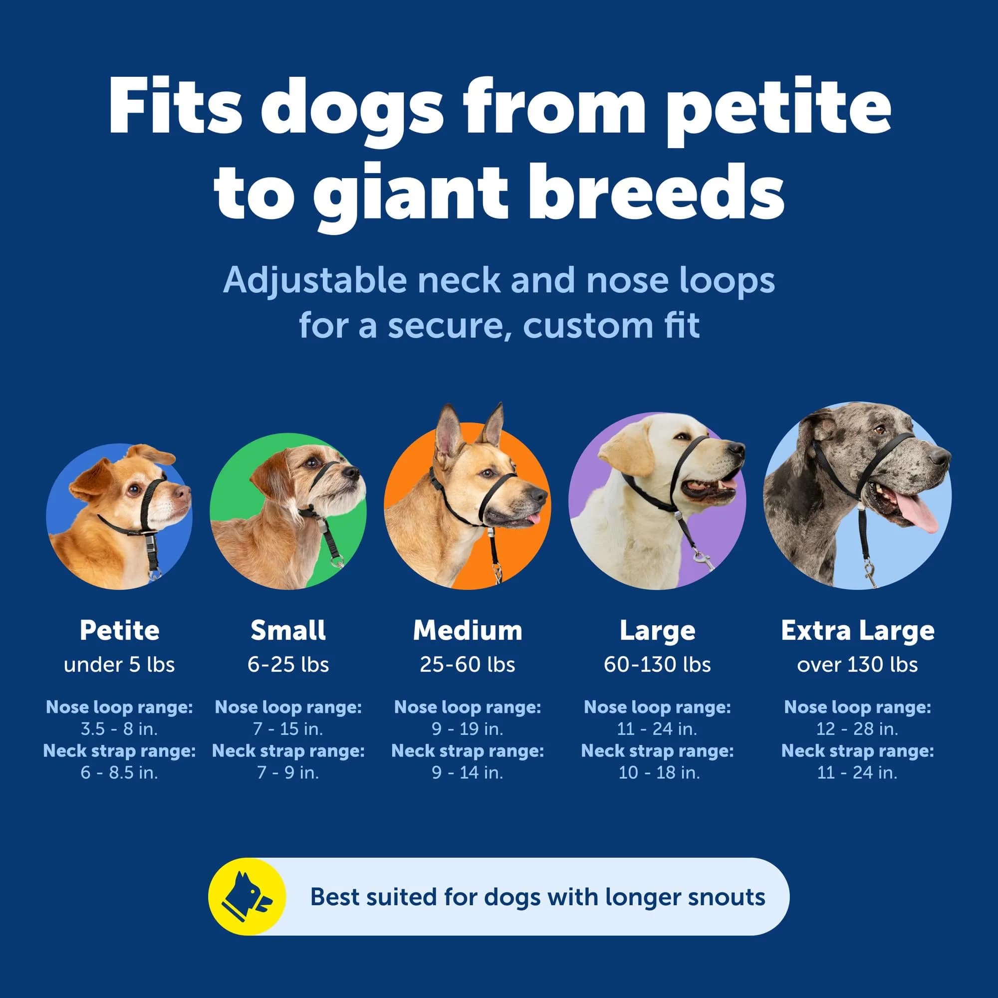 PetSafe Gentle Leader No Pull Dog Headcollar, Red, Small (0.09 kg) | Veterinary Behaviorist-Designed for Pulling Dogs - view 5