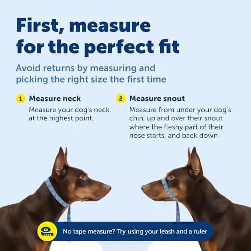 PetSafe Gentle Leader No Pull Dog Headcollar, Red, Small (0.09 kg) | Veterinary Behaviorist-Designed for Pulling Dogs thumbnail 6