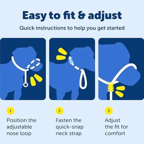 PetSafe Gentle Leader No Pull Dog Headcollar, Red, Small (0.09 kg) | Veterinary Behaviorist-Designed for Pulling Dogs thumbnail 7