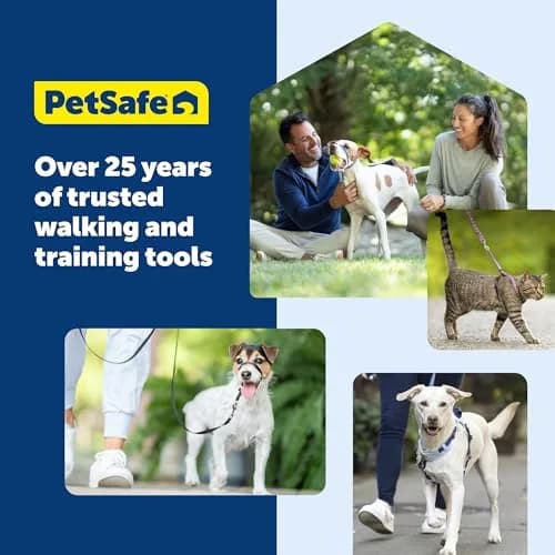 PetSafe Gentle Leader No Pull Dog Headcollar, Red, Small (0.09 kg) | Veterinary Behaviorist-Designed for Pulling Dogs thumbnail 8