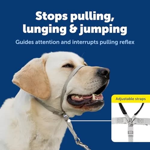 PetSafe Gentle Leader No Pull Dog Headcollar, Red, Small (0.09 kg) | Veterinary Behaviorist-Designed for Pulling Dogs thumbnail 3