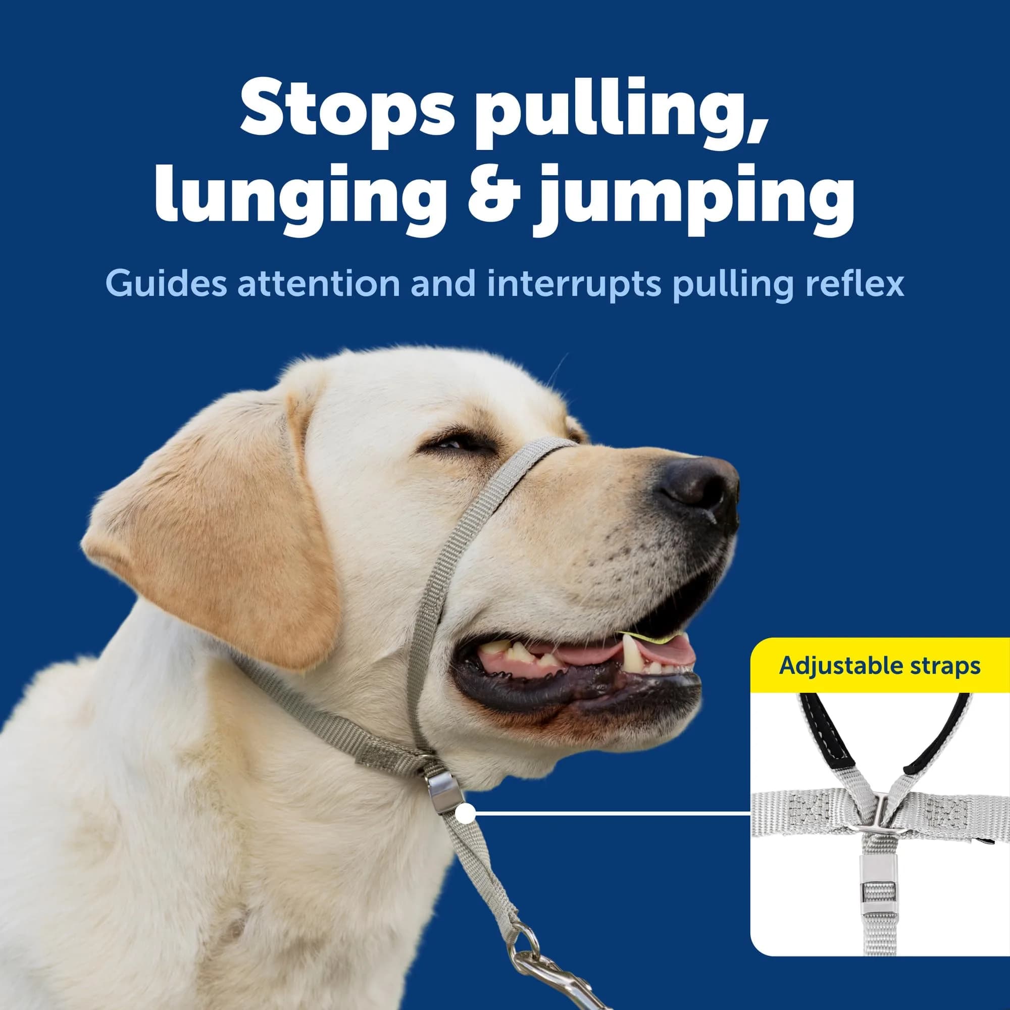 PetSafe Gentle Leader No Pull Dog Headcollar, Red, Small (0.09 kg) | Veterinary Behaviorist-Designed for Pulling Dogs - view 3
