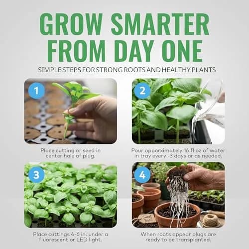 General Hydroponics GH3253 Rapid Rooter Replacement Plugs 50 Count | Organic Soilless Grow Plugs for Seedlings & Cuttings thumbnail 4