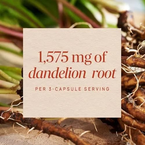 Nature's Way Dandelion Root Capsules 180 Count | Traditional Diuretic Herb thumbnail 4
