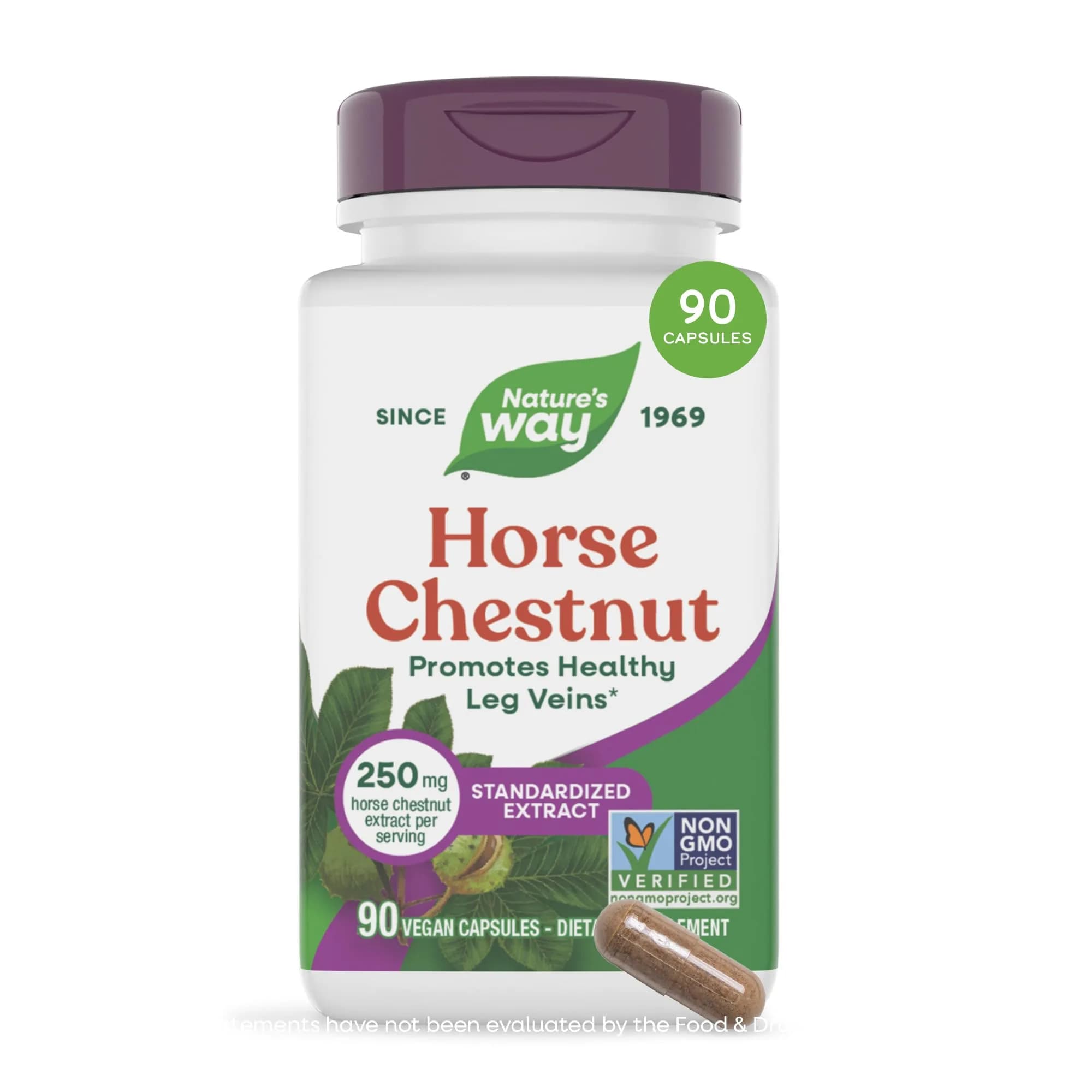 Nature's Way Horse Chestnut Extract 90 Capsules | Supports Healthy Leg Veins & Circulation - main product image