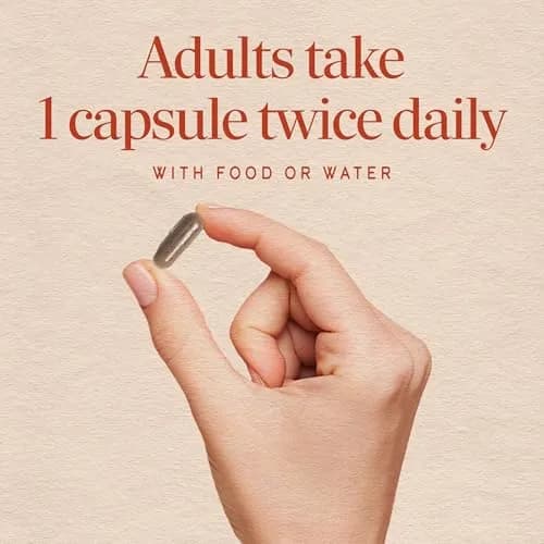 Nature's Way Horse Chestnut Extract 90 Capsules | Supports Healthy Leg Veins & Circulation thumbnail 5