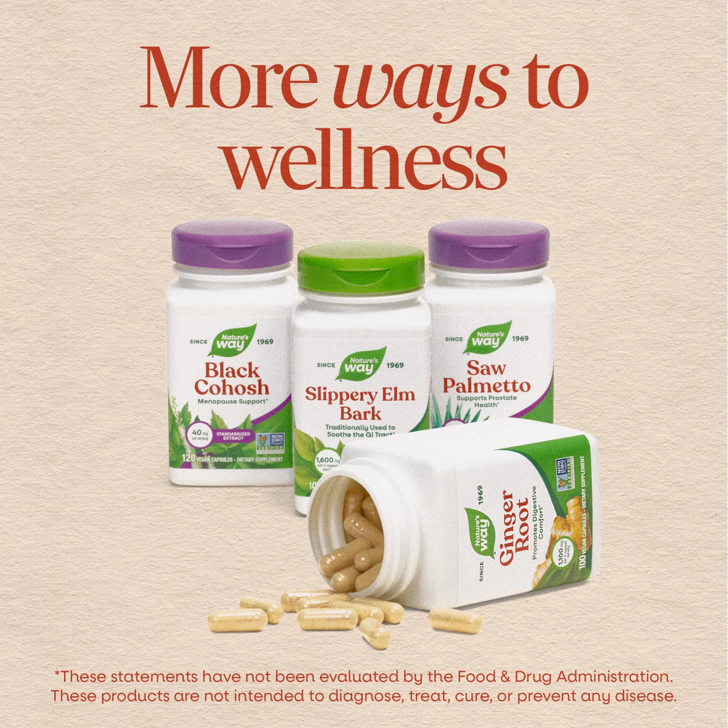Nature's Way Horse Chestnut Extract 90 Capsules | Supports Healthy Leg Veins & Circulation - view 7